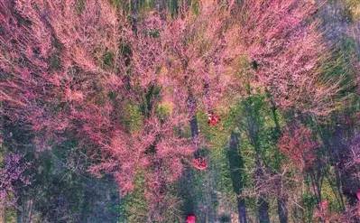 江西赣州冬天,赣州冬天周边旅游景点推荐