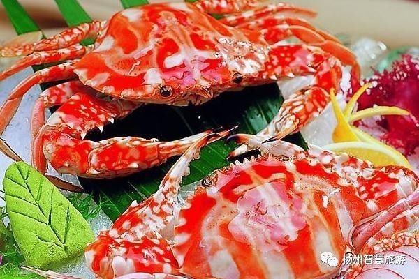 扬州螃蟹,江苏吃螃蟹最出名的地方有哪两个