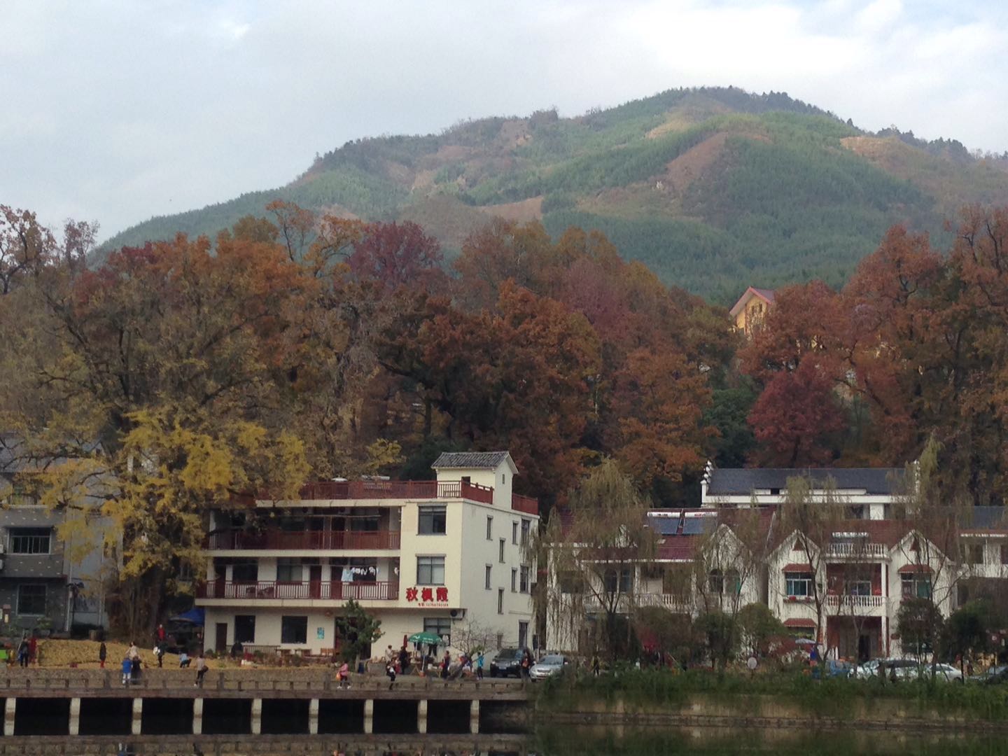 村民一年农家乐收入180万农民玩精品民宿一年100万，看看浙江“走进森林人家”采访活动你会吃惊