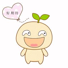 肇庆规划改建码头,肇庆港口码头