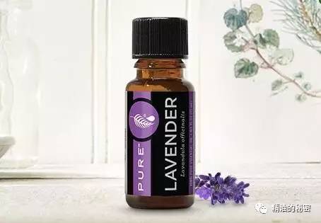 明星同款身体精油推荐,明星同款护发精油推荐