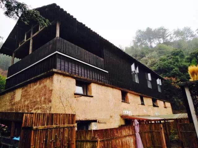 村民一年农家乐收入180万农民玩精品民宿一年100万，看看浙江“走进森林人家”采访活动你会吃惊