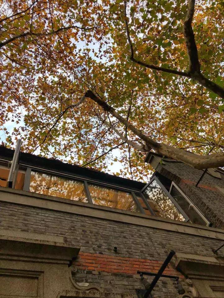 魔都第2家LadyM12月中旬开业！这次它钻进了石库门！