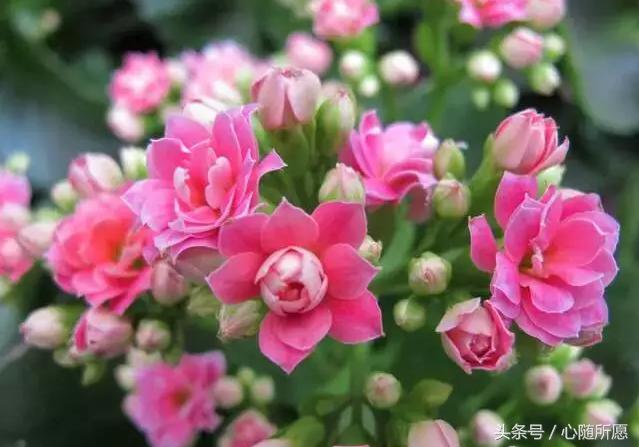 维生素e外用可以淡化胎记吗,美容维生素e