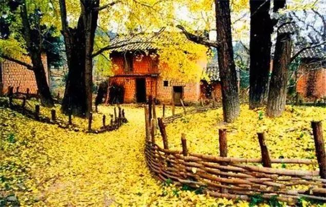 深圳龙岗周边游玩景点推荐,深圳及周边亲子游好去处