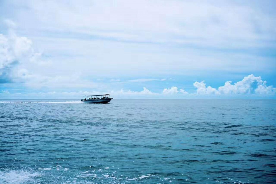 帕劳带小孩旅游攻略,帕劳带小朋友旅游攻略