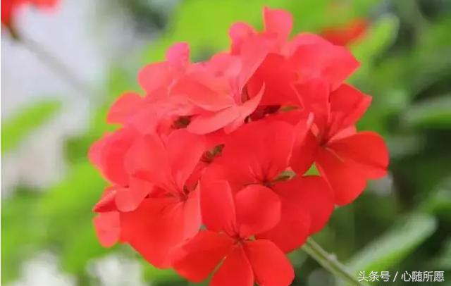 维生素e外用可以淡化胎记吗,美容维生素e