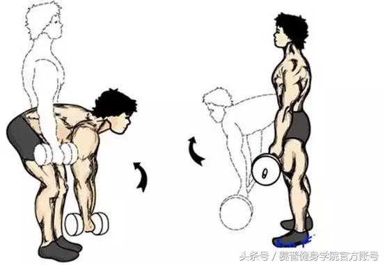 哑铃全身减脂动作,哑铃一个动作锻炼全身