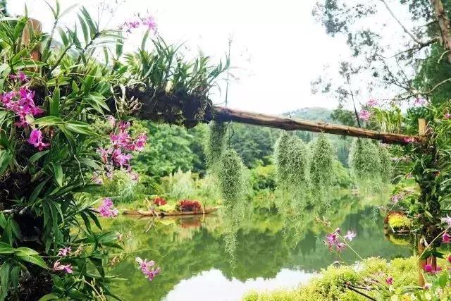 深圳龙岗周边游玩景点推荐,深圳及周边亲子游好去处