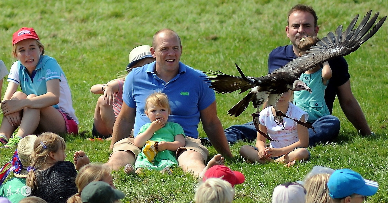 itookapill璇曞惉,itookapill