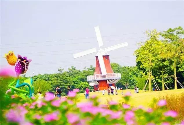 深圳龙岗周边游玩景点推荐,深圳及周边亲子游好去处