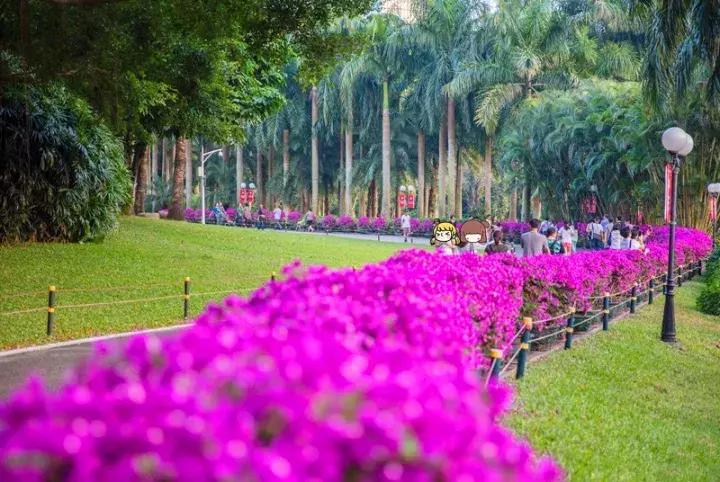 深圳龙岗周边游玩景点推荐,深圳及周边亲子游好去处