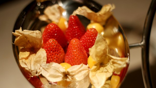 矗于湘江之畔，对望岳麓之巅，记长沙君悦酒店