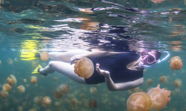 帕劳旅游攻略视频大全,帕劳旅游攻略必去的景点