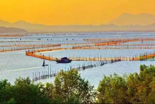 深圳龙岗周边游玩景点推荐,深圳及周边亲子游好去处