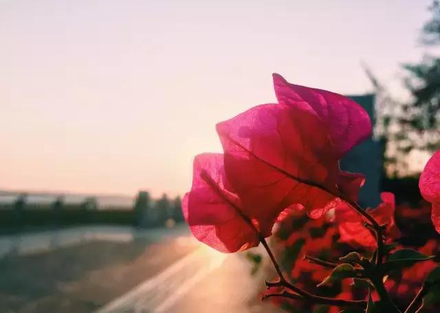 深圳龙岗周边游玩景点推荐,深圳及周边亲子游好去处