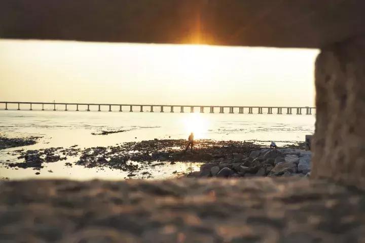 深圳龙岗周边游玩景点推荐,深圳及周边亲子游好去处