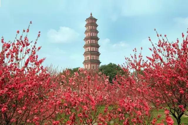 深圳龙岗周边游玩景点推荐,深圳及周边亲子游好去处