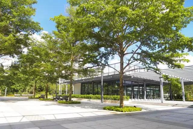 深圳龙岗周边游玩景点推荐,深圳及周边亲子游好去处