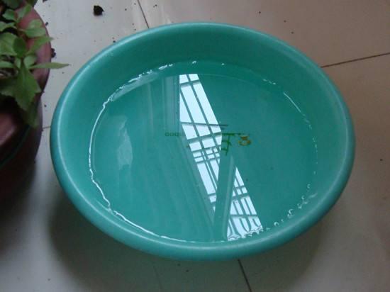 刚装修的房子里放洋葱能除甲醛吗,洋葱除甲醛最有效方法是什么