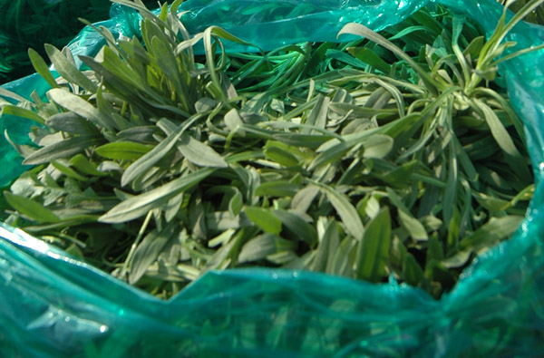 还没有过头条号新手期的朋友看过来，25天转正菜鸟我只做了5件事