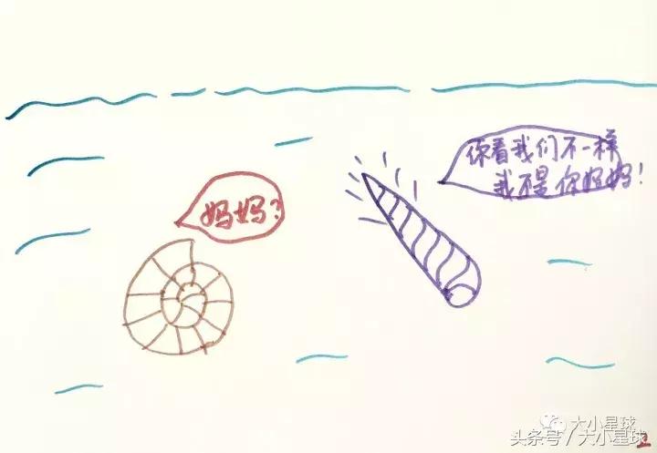 怎样和孩子分享绘本故事,怎样制作绘本3-6岁经典绘本