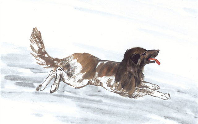 十二生肖哪个是趋吉避凶最灵敏的,12生肖如何化解破财衰运