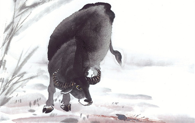 十二生肖哪个是趋吉避凶最灵敏的,12生肖如何化解破财衰运