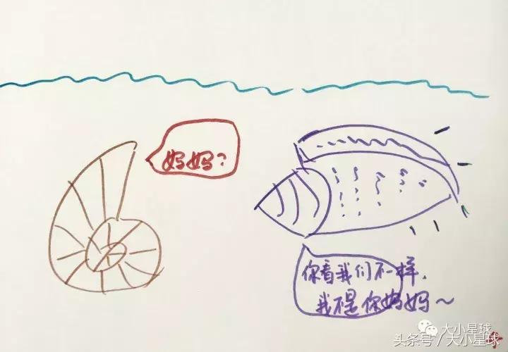 怎样和孩子分享绘本故事,怎样制作绘本3-6岁经典绘本