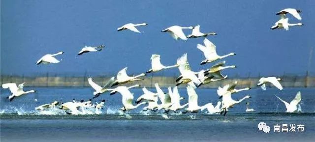 什么都拿得出手的城市,有什么拿得出手的过节礼物