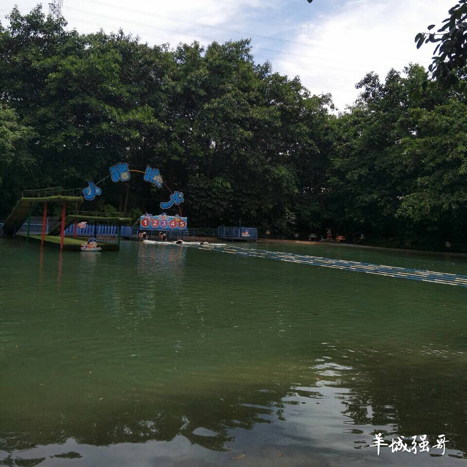 鳄鱼湖湿地门票预订,广州鳄鱼公园地图