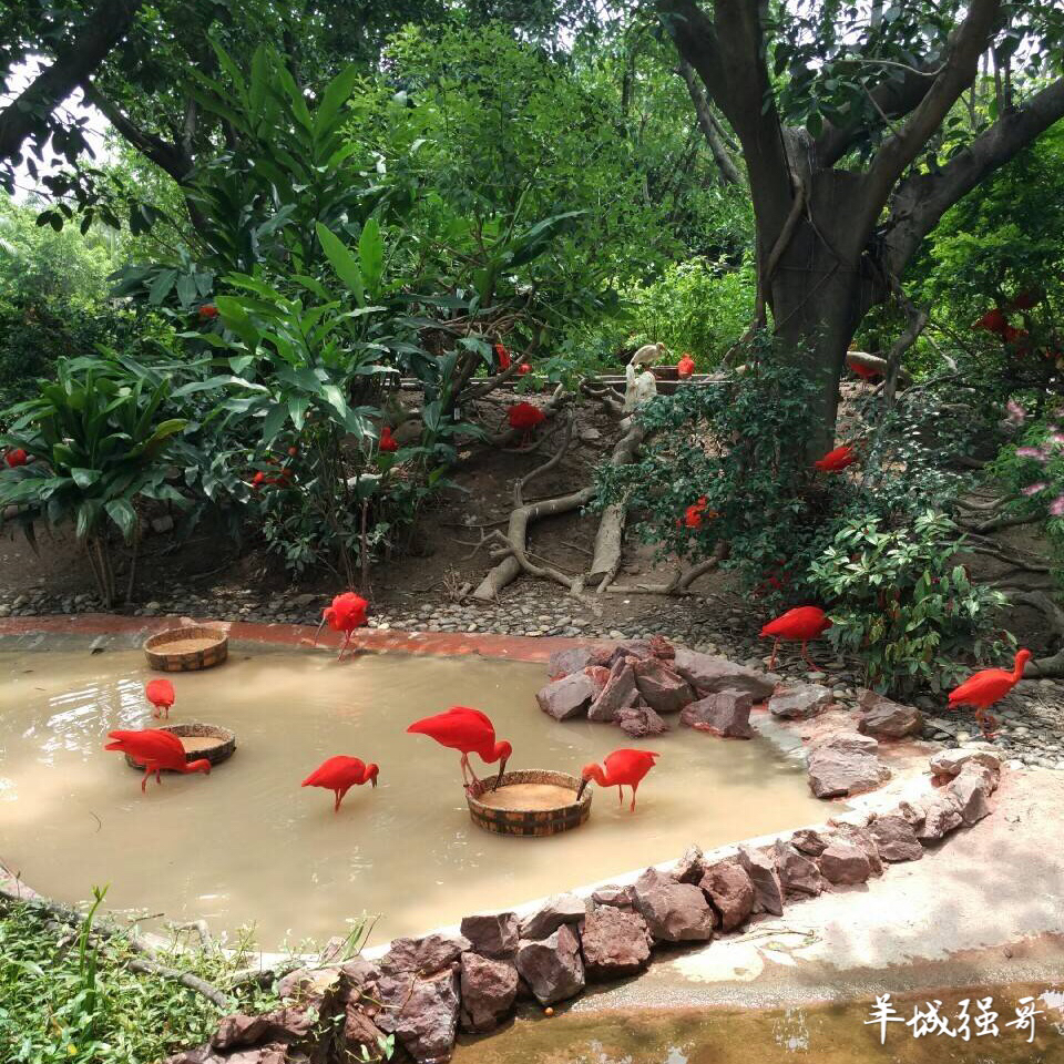 鳄鱼湖湿地门票预订,广州鳄鱼公园地图