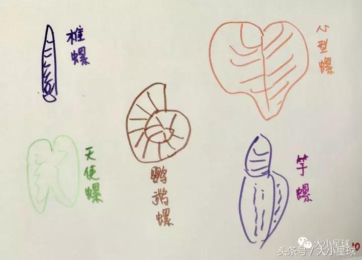 怎样和孩子分享绘本故事,怎样制作绘本3-6岁经典绘本