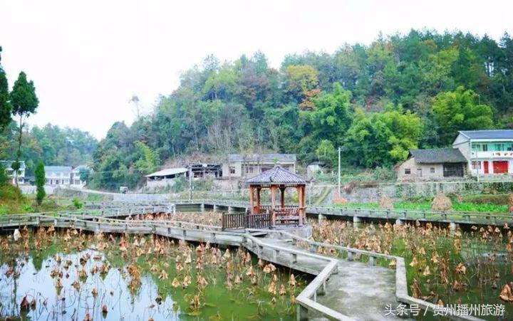 冬游播州丨山庄、机器人、农家美景……三岔观水阁够有腔调！