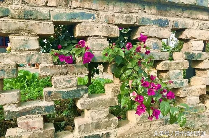 冬游播州丨山庄、机器人、农家美景……三岔观水阁够有腔调！