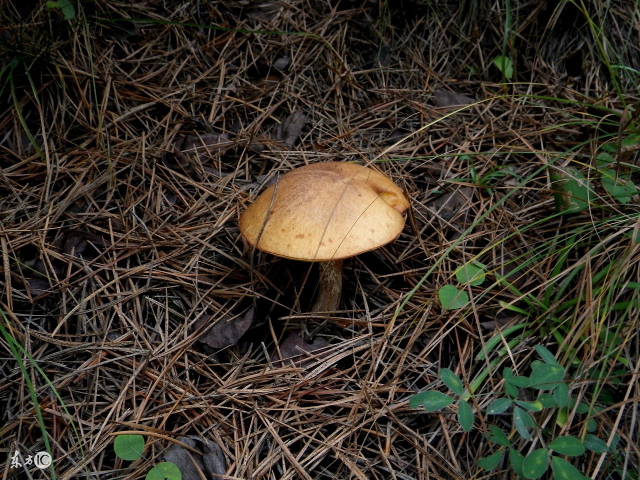 十大经典管理技巧,管理入门10个必备口诀