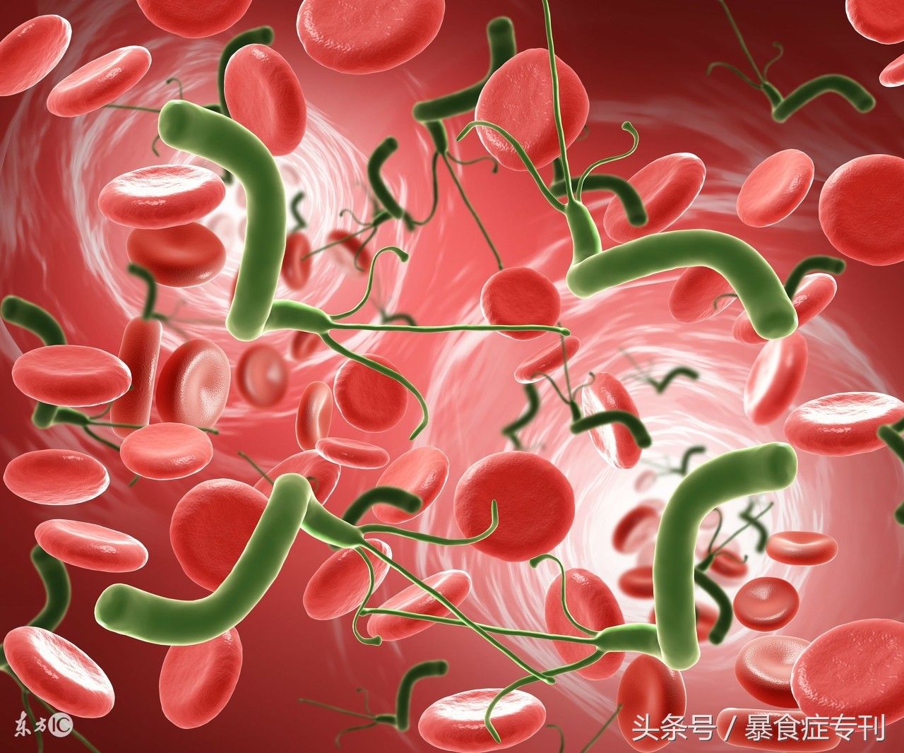 食物强迫症,强迫症水果吃法