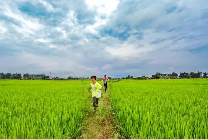 2019南粤古驿道定向大赛,广州南粤古驿道定向大赛