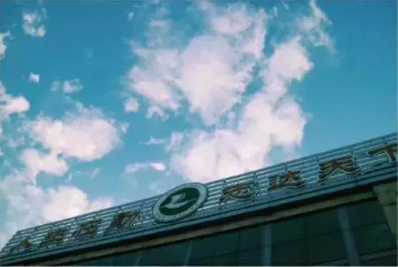 历城二中文化墙,手绘二年级作品