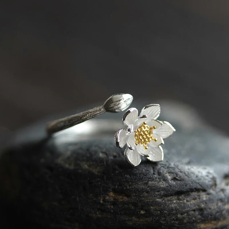 鏃犲悕鎸囩殑鐗电粖,鏃犲悕鎸囩殑缇佺粖灏忚