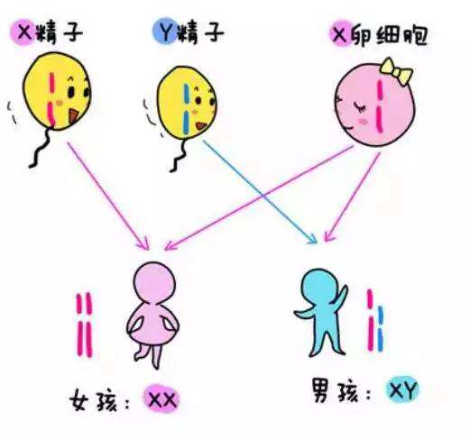 清宫表真准吗,清宫表预测真的准吗