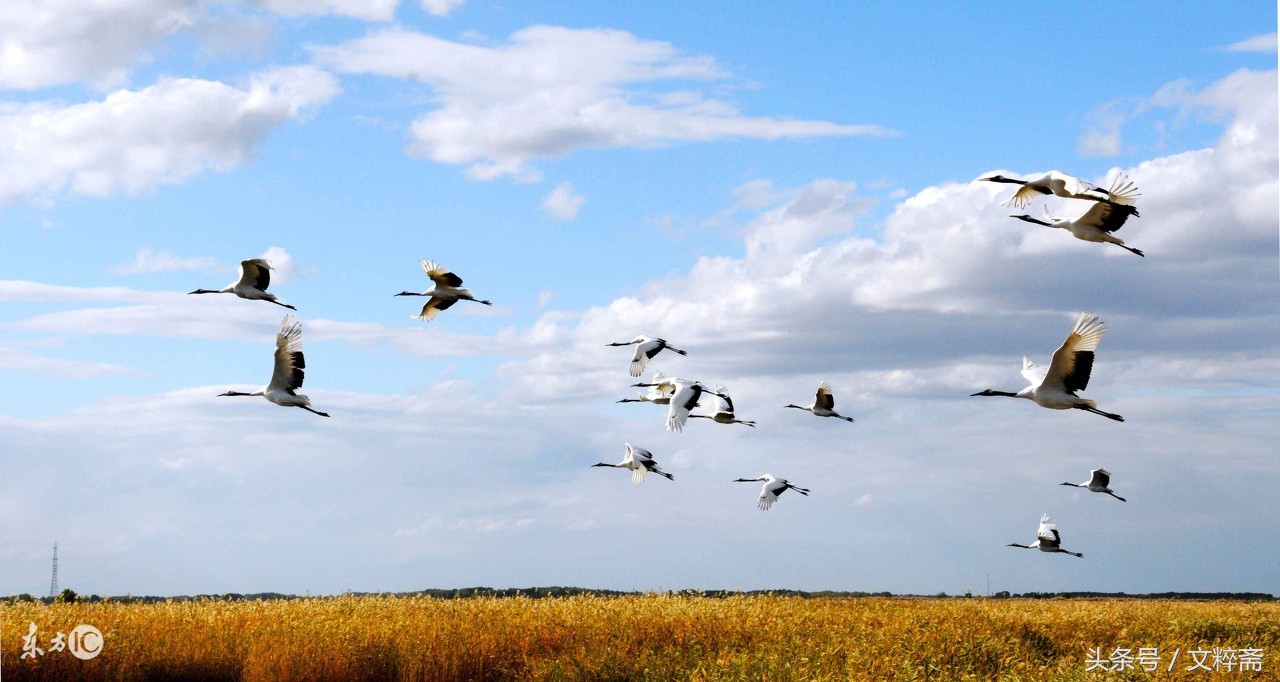 梦里故乡,梦里故乡西马庄