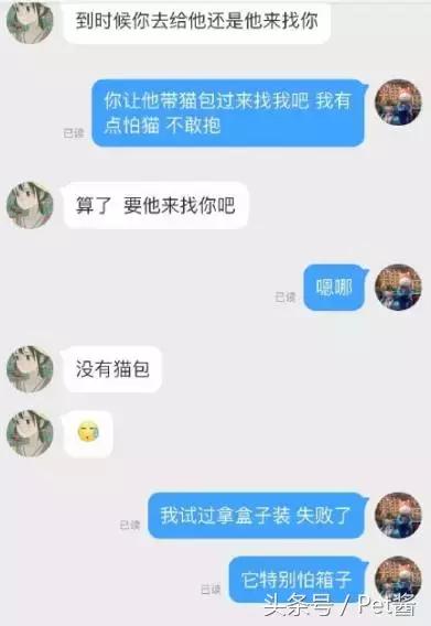 救助者领养猫狗,领养猫咪时说什么能让原主人放心