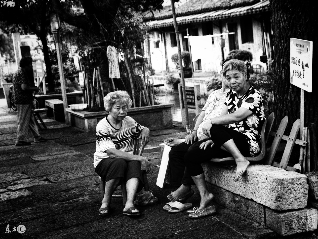 梦里故乡,梦里故乡西马庄