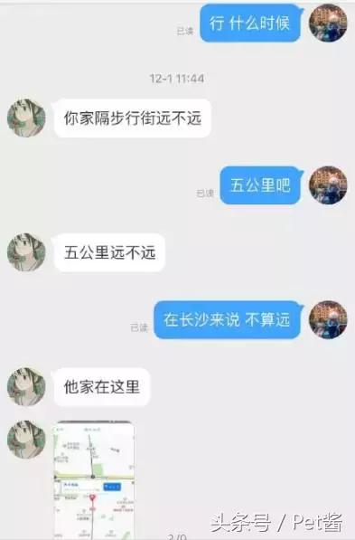 救助者领养猫狗,领养猫咪时说什么能让原主人放心