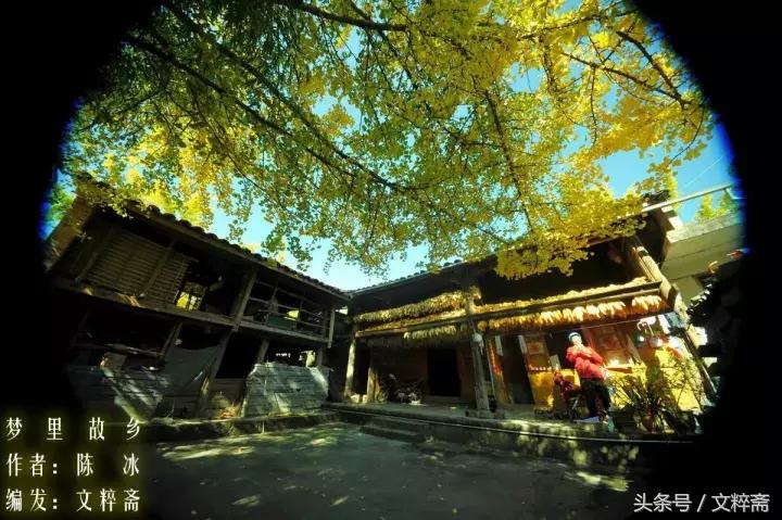 梦里故乡,梦里故乡西马庄