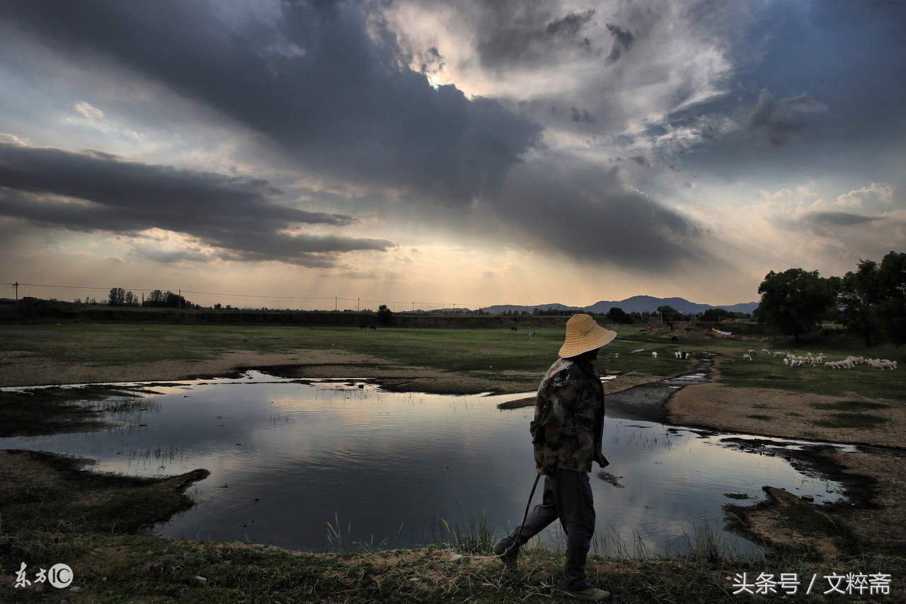 梦里故乡,梦里故乡西马庄