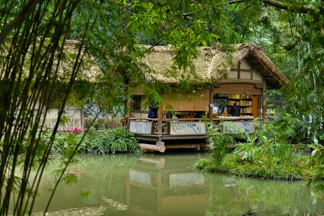 一分钟吃遍成都特点美食,带你一起吃遍成都的美食
