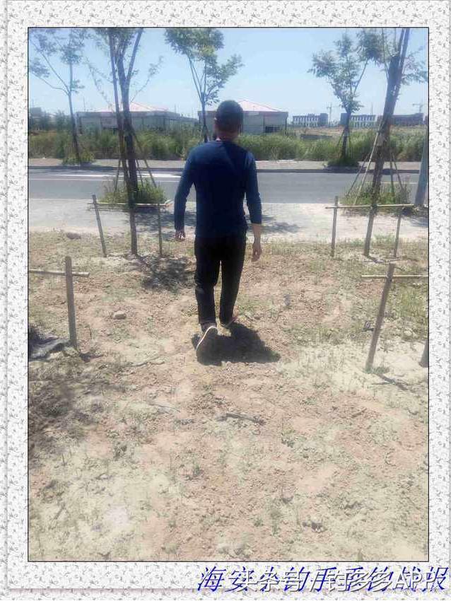 一年四季都可以钓的鱼种,一年四季可钓的鱼种