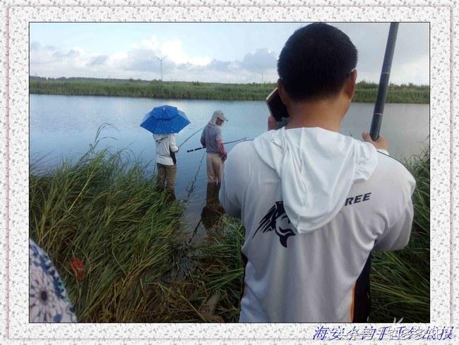 一年四季都可以钓的鱼种,一年四季可钓的鱼种